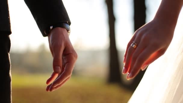 Весільна пара тримає руки на фоні заходу сонця знімок у повільному русі крупним планом
 - Кадри, відео