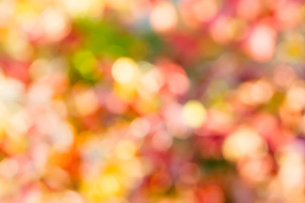 Abstract  bokeh  background - Photo, Image