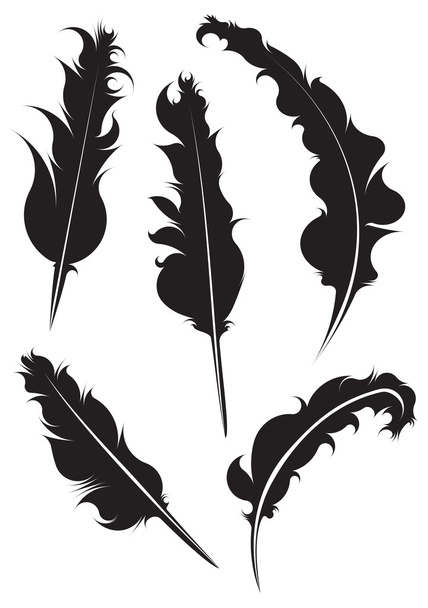 пять силуэтов перьев
 - Вектор,изображение