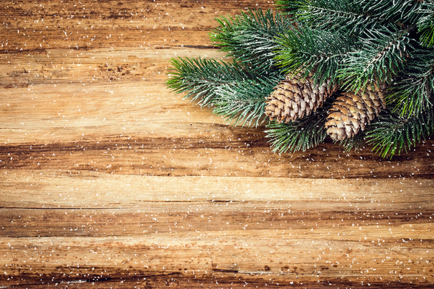 Ağaçlı Noel arkaplanı - Fotoğraf, Görsel