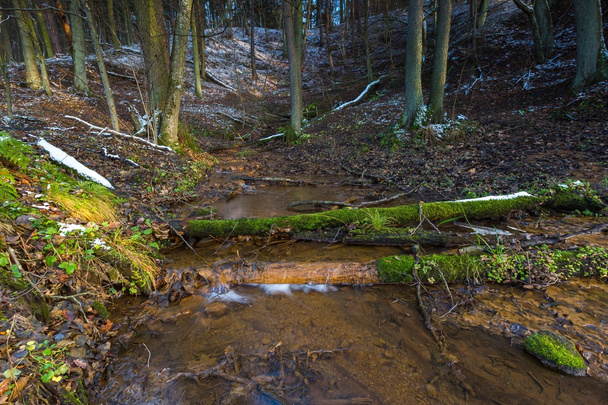 Landscape of late autumnal forest with first snow and small stream - Foto, Imagen