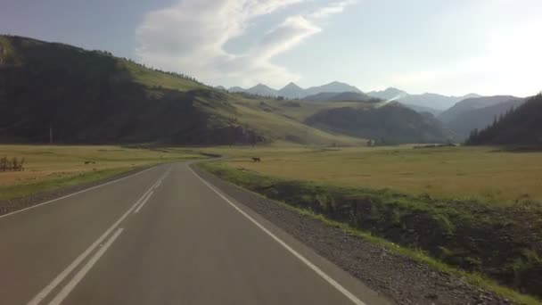 Gyönyörű Chuysky Trakt Altaj-hegység. - Felvétel, videó