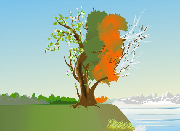 Four seasons in the environment - Vector, Image