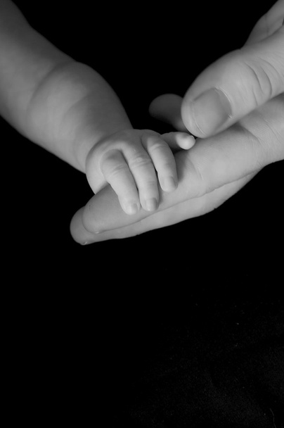 Baby hand gripping Adult finger - Foto, Bild