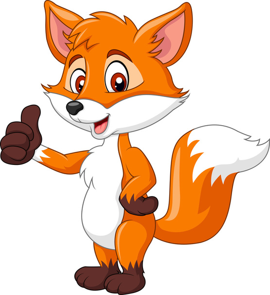 Cartoon engraçado raposa dando polegar para cima isolado no fundo branco
 - Vetor, Imagem