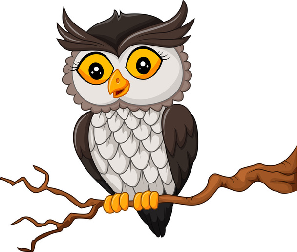 Cartoon owl bird posing on the tree - Vector, Image