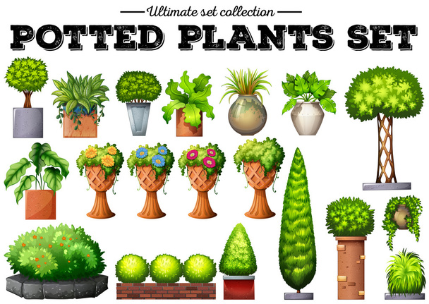 Potted plants in the garden - Vector, Image