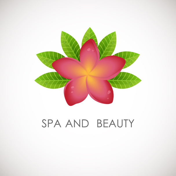 Pink frangipani flower with green leaves logo. Vector logotype for spa, beauty salon, massage or yoga center - Vecteur, image
