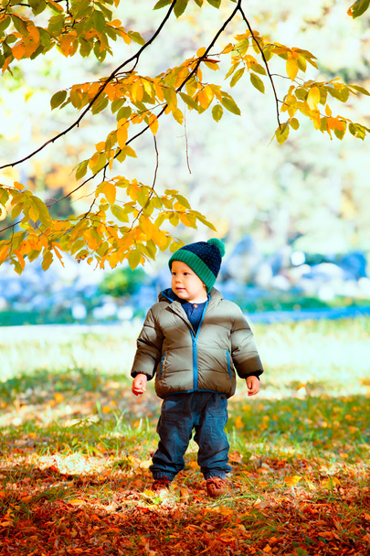 Baby boy in the woods - Фото, зображення