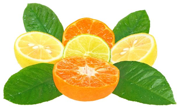 Orange, lemon and lime isolated. - Φωτογραφία, εικόνα
