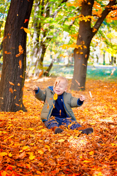 Baby boy in the woods - Valokuva, kuva