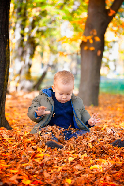 Baby boy in the woods - Foto, afbeelding