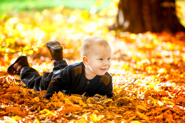 Baby boy in the woods - Photo, image
