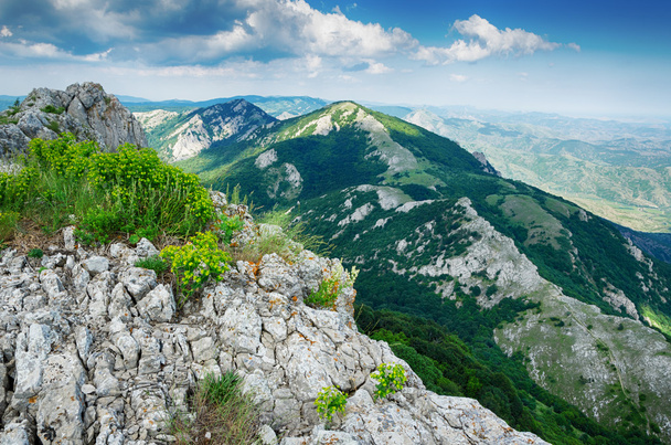 view from the cliff, beautiful landscape - Valokuva, kuva
