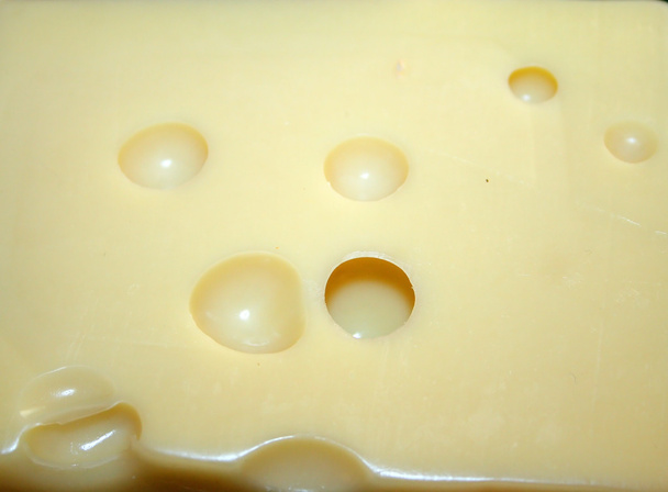 Cheese - Photo, Image