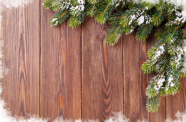 積雪のモミの木でクリスマスの背景 - 写真・画像