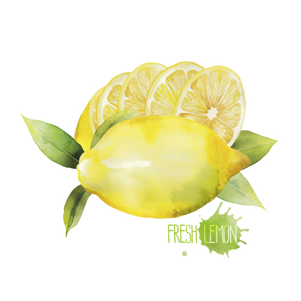 Viněta akvarel citron - Vektor, obrázek