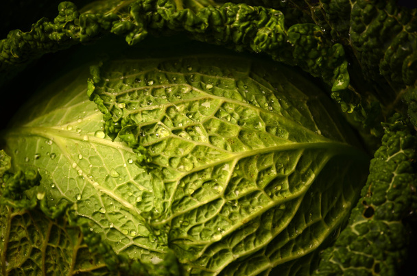 Organik savoy lahana ahşap arka plan üzerinde kapat - Fotoğraf, Görsel