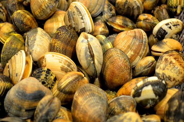 моллюски на рынке
 - Фото, изображение