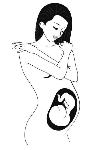 美しい妊婦 - ベクター画像