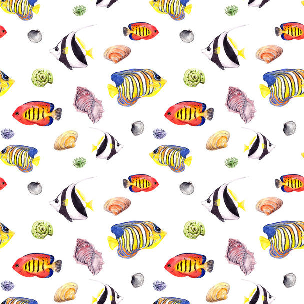 Fish and seashell. Repeating seamless pattern. Watercolor - Zdjęcie, obraz