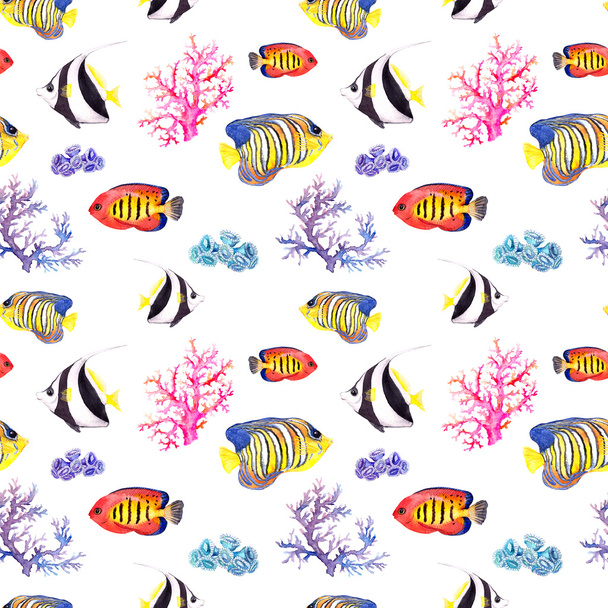 Fish and seashell. Repeating seamless pattern. Watercolor - Foto, Imagen