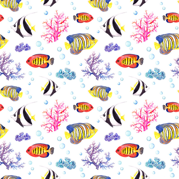 Fish and seashell. Repeating seamless pattern. Watercolor - 写真・画像