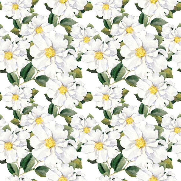 Seamless floral wallpaper with white flowers magnolia, peonies. Watercolour - Фото, изображение
