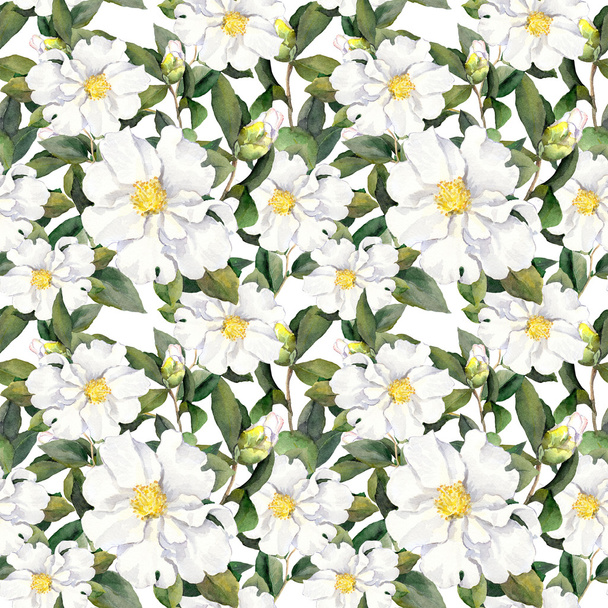 Seamless floral background wallpaper with white flowers. Aquarelle painting - Photo, image