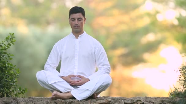 Mężczyźni w medytacji stanowiska na zewnątrz - Materiał filmowy, wideo
