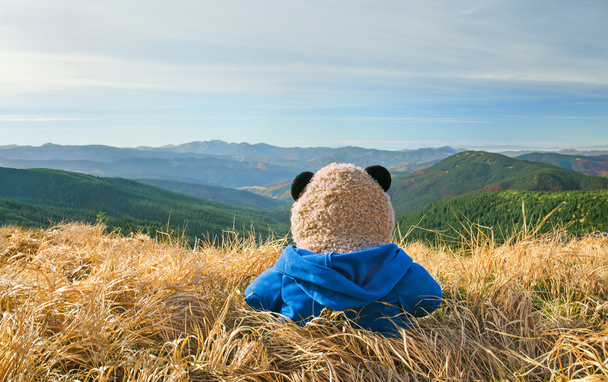 山で孤独なテディベア - 写真・画像
