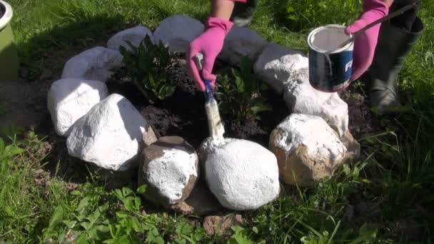 Člověk zahradník malba kameny bílé umístěny kolem záhon - Záběry, video