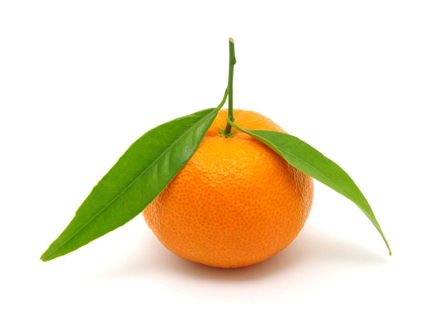 mandarinka izolovaná na bílém - Fotografie, Obrázek
