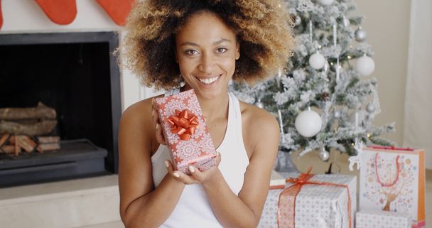 クリスマスプレゼントを持っている女性 - 写真・画像