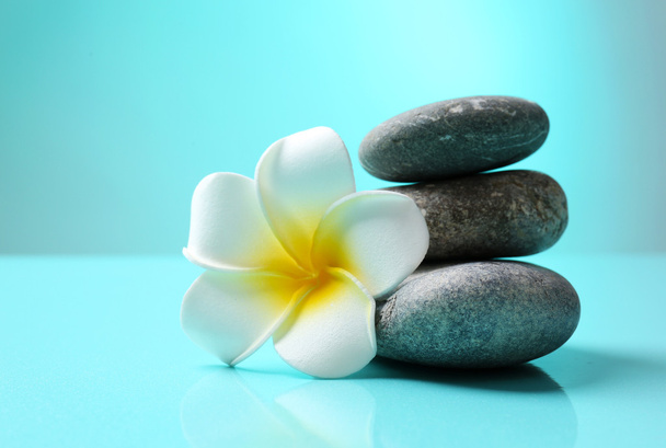 Spa stones and flower - Photo, image