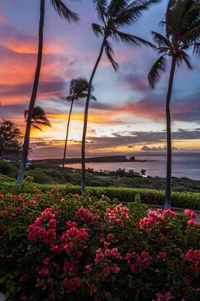 Lanai Гаваї сходу сонця
 - Фото, зображення