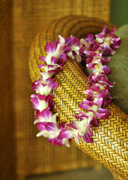 Lei hawaiana
 - Foto, immagini