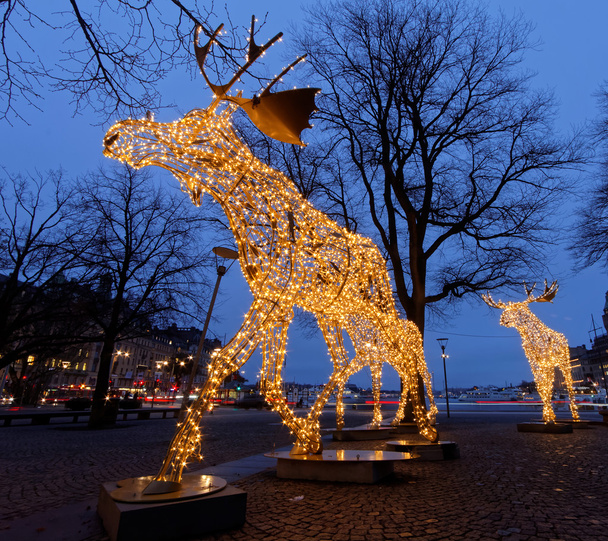 Christmas moose beslag gemaakt van geleid licht - Foto, afbeelding