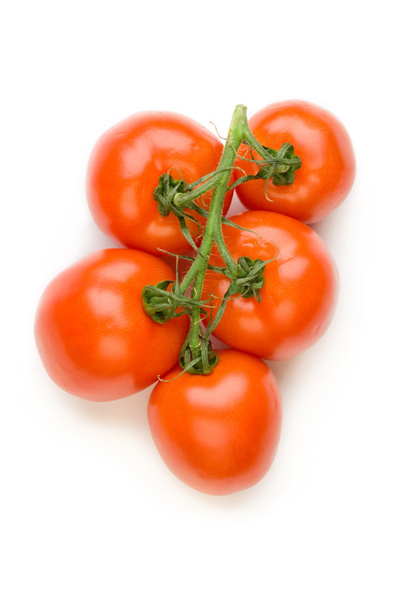 tomaatit oksalla - Valokuva, kuva