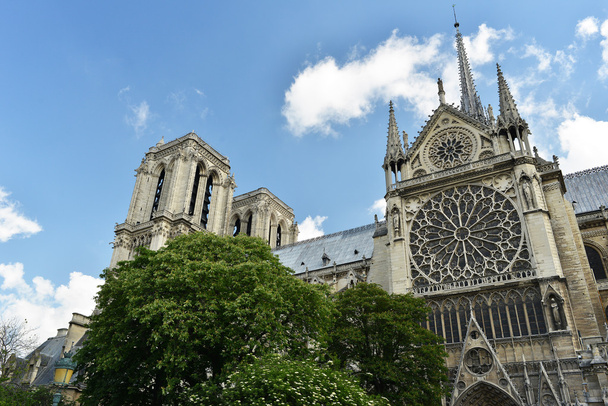 Katedrali notre Dame de paris, Fransa - Fotoğraf, Görsel