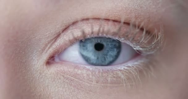 woman blue eye closeup - Footage, Video