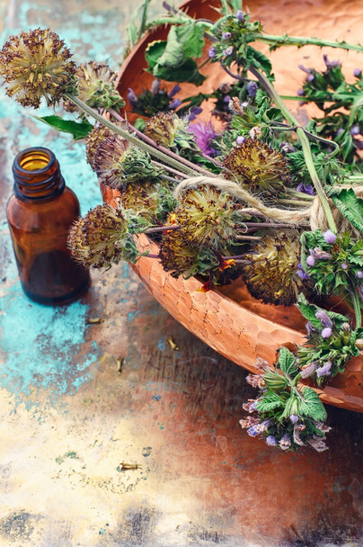 Bodegón con hierbas medicinales de cosecha
 - Foto, Imagen