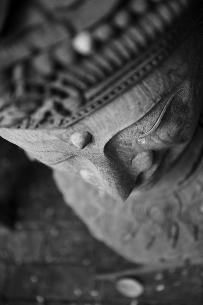 Ξύλινα Βούδα από Τσιάνγκ Μάι - Φωτογραφία, εικόνα