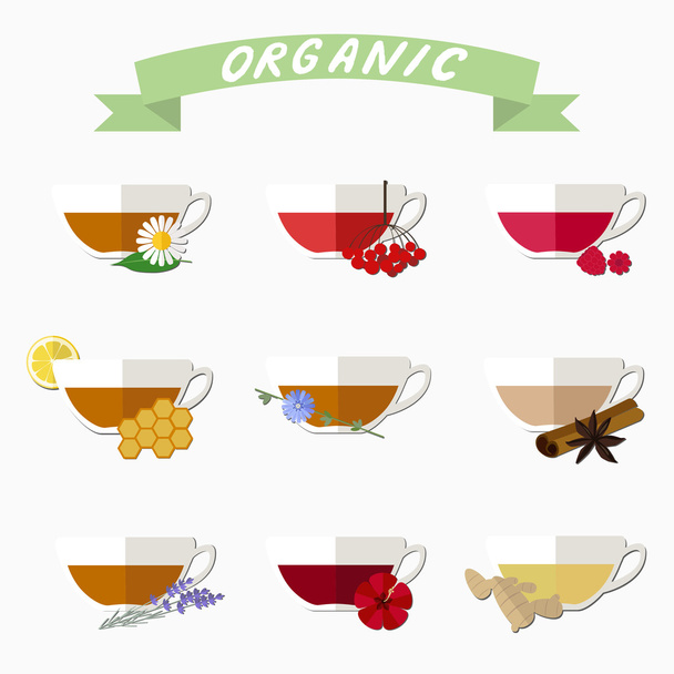 Organický čaj kolekce - Vektor, obrázek