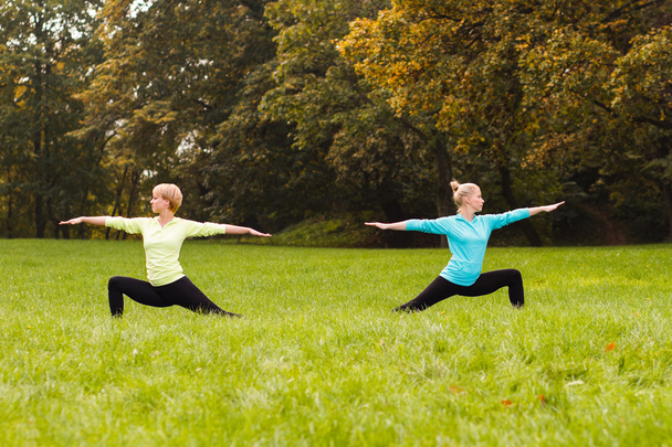 friends practicing yoga in park - Фото, изображение