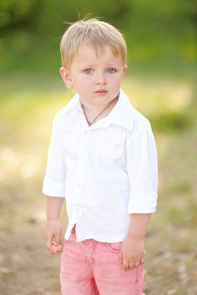 Portrait of a boy in the summer outdoors - Фото, зображення