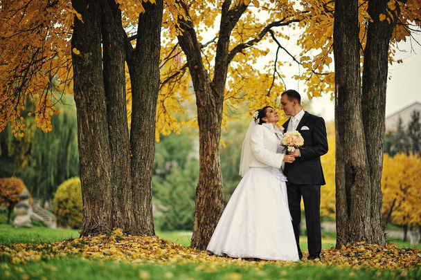 Wedding couple background  on autumn day - Valokuva, kuva
