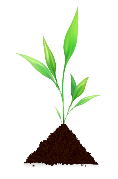 Pile of dirt and growing plant - Vector, Image