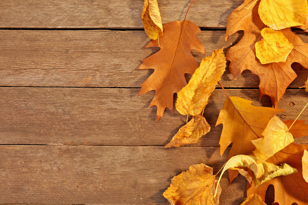 gelbe und braune Herbstblätter auf Holzgrund - Foto, Bild