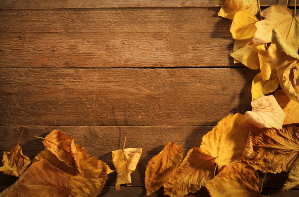 Sárga és barna őszi levelek, a fa háttér - Fotó, kép